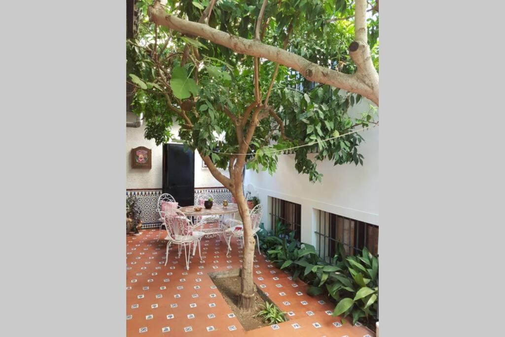 Casa En Granada Con Hermoso Jardin, Parking Calle Extérieur photo